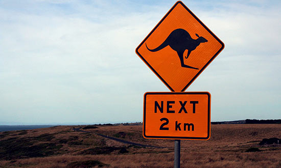 Vägskylt som varnar för känguru i Australien