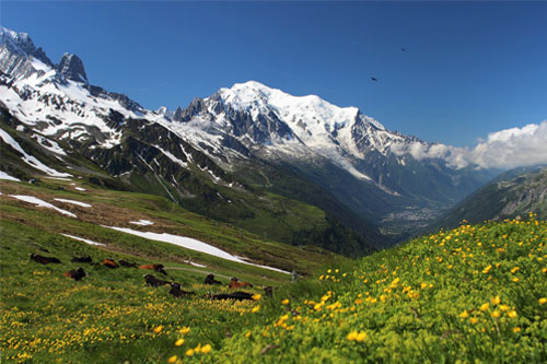 Vy vid Mont Blanc. Man ser gröna dalar och snötäckta berg